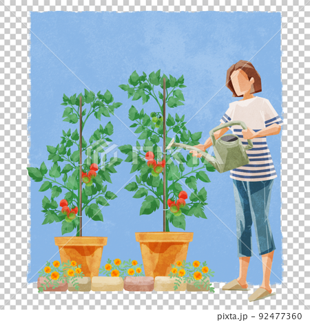 家庭菜園で水やりをする人の手書き水彩風イラスト 92477360