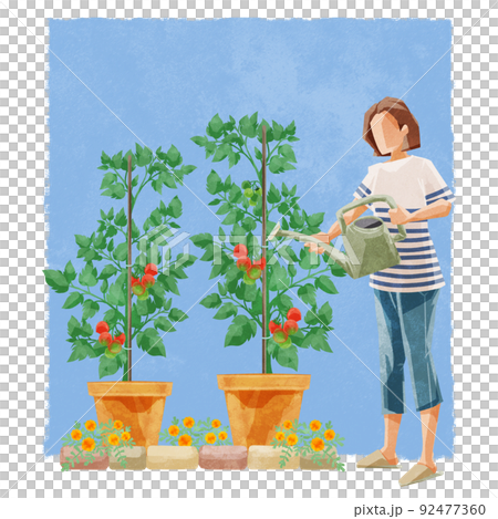 一個人在菜園裡澆水的手寫水彩風格插圖 92477360