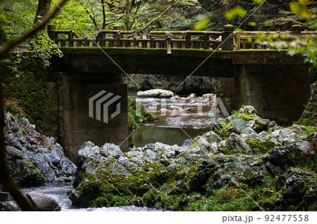EOS5D.広島庄原、帝釈峡事故現場。 EOS5D.広島庄原、帝釈峡事故現場。 92477558