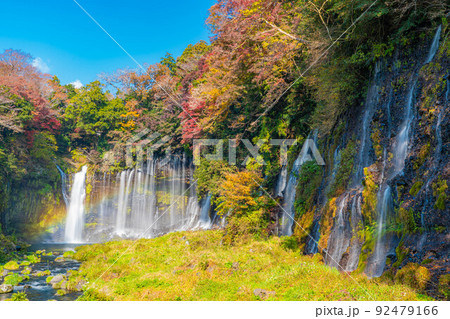 【秋素材】紅葉シーズンの白糸の滝と虹【静岡県】 92479166
