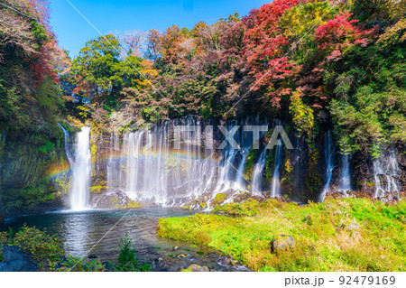 【秋素材】紅葉シーズンの白糸の滝と虹【静岡県】 92479169