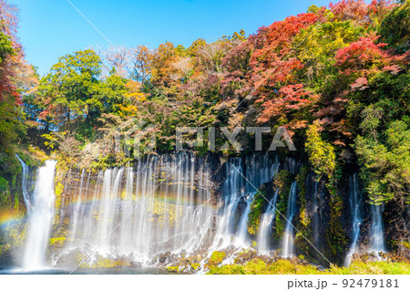 【秋素材】紅葉シーズンの白糸の滝と虹【静岡県】 【秋素材】紅葉シーズンの白糸の滝と虹【静岡県】 92479181