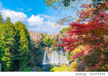 【秋素材】紅葉シーズンの白糸の滝と虹【静岡県】 92479185
