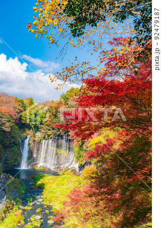 【秋素材】紅葉シーズンの白糸の滝と虹【静岡県】 【秋素材】紅葉シーズンの白糸の滝と虹【静岡県】 92479187