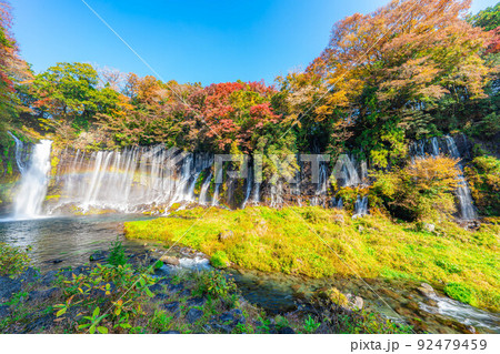 【秋素材】紅葉シーズンの白糸の滝と虹【静岡県】 92479459