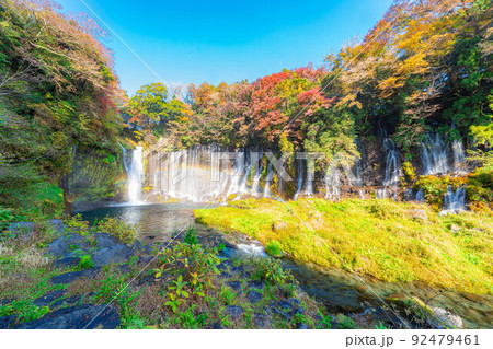 【秋素材】紅葉シーズンの白糸の滝と虹【静岡県】 92479461