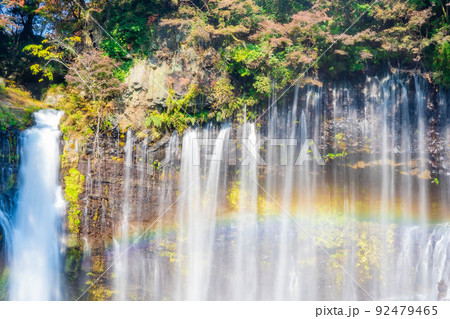 【秋素材】紅葉シーズンの白糸の滝と虹【静岡県】 92479465