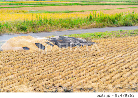 【秋素材】燻炭作り【長野県】 92479865