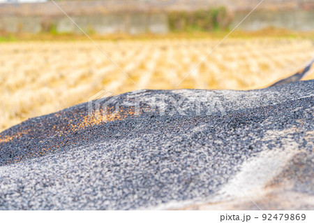 【秋素材】燻炭作り【長野県】 92479869