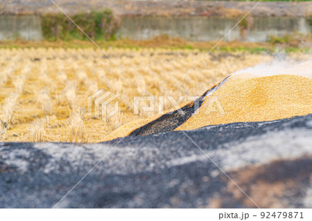 【秋素材】燻炭作り【長野県】 92479871