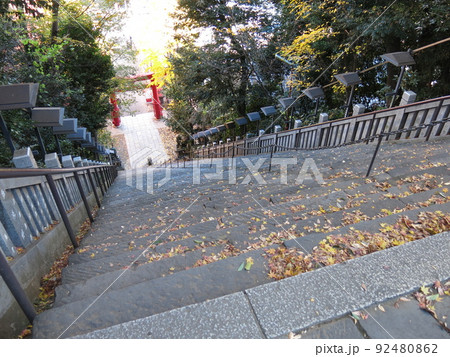 東京都港区の愛宕神社にある出世の石段（男坂） 92480862