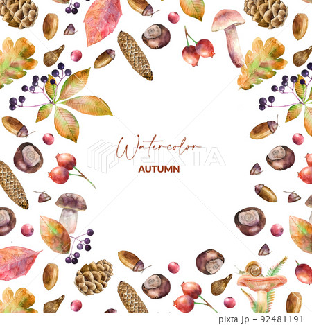 Template with watercolor illustrated mushrooms, leaves, berries, chestnuts and cones. Hand drawn fall elements. Autumn design for packaging, invitation and greeting card. 92481191