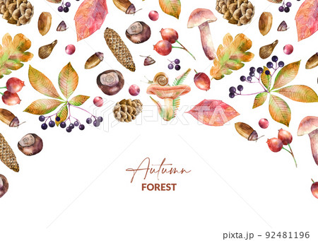 Background with watercolor illustrated mushrooms, leaves, berries, chestnuts and cones. Hand drawn fall elements. Autumn design for packaging, invitation and greeting card. Background with watercolor illustrated mushrooms, leaves, berries, chestnuts and cones. Hand drawn fall elements. Autumn design for packaging, invitation and greeting card. 92481196
