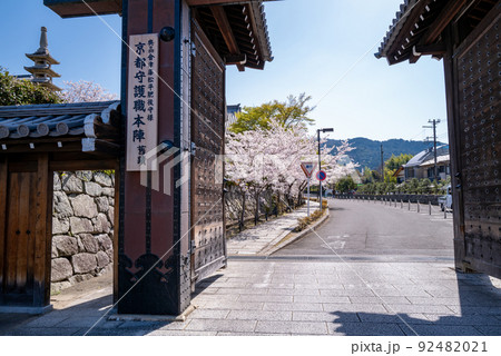 会津藩墓所　黒谷金戒光明寺 92482021