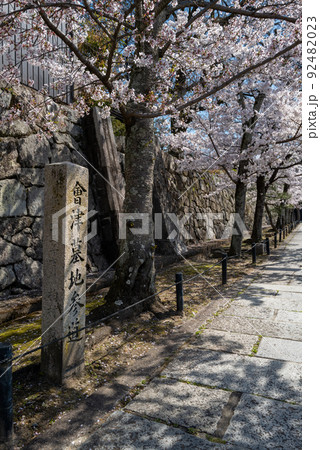 会津藩墓所　黒谷金戒光明寺 92482023