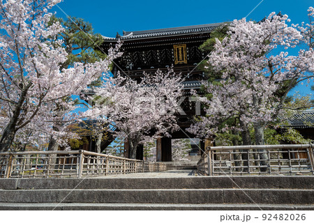会津藩墓所 黒谷金戒光明寺 会津藩墓所 黒谷金戒光明寺 92482026