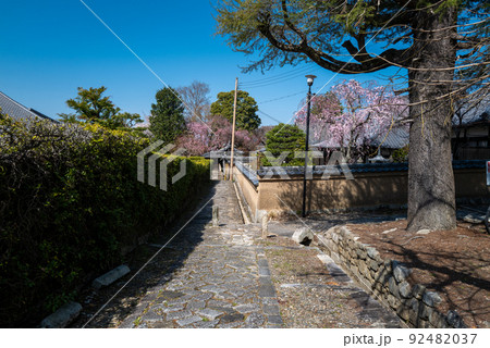 会津藩墓所 黒谷金戒光明寺 会津藩墓所 黒谷金戒光明寺 92482037