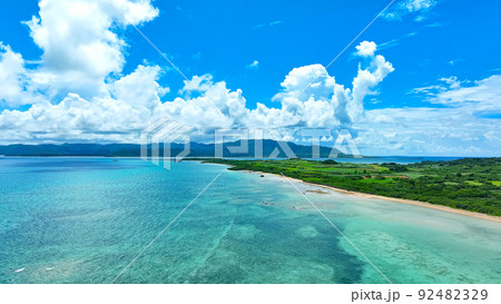 南国の海と森林　空撮 92482329