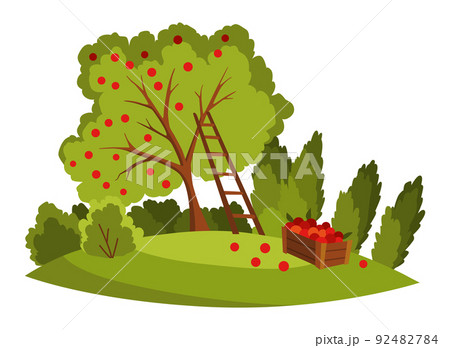 Farm landscape. Agriculture field, rural nature scene. Ruralfield panorama with apple tree and harvest 92482784