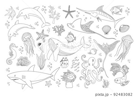 Set With Hand Drawn Sea Life Elements Vector のイラスト素材 9240