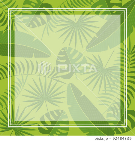 ボタニカルとシンプルフレーム　正方形 92484339