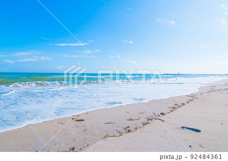 伊良湖、太平洋ロングビーチ【愛知県ー渥美半島】 伊良湖、太平洋ロングビーチ【愛知県ー渥美半島】 92484361