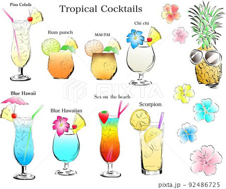 トロピカルカクテルセット 92486725