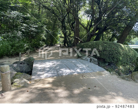 森林公園の中の小さな橋 森林公園の中の小さな橋 92487483