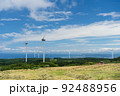 風車と海の見える牧草地の風景 92488956