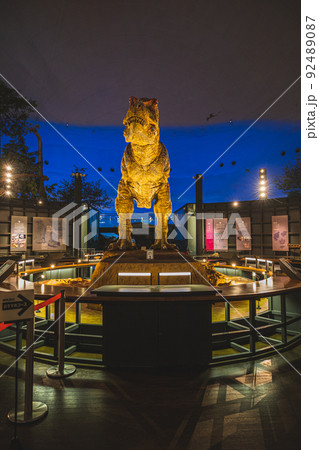 福井県立恐竜博物館 ティラノサウルス 92489087