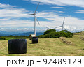 風車と夏の空と牧草地の景色 92489129