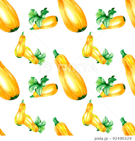 Yellow squashe plants watercolor illustration seamless pattern 92490329