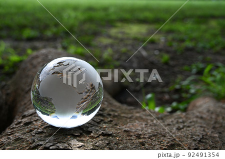 切り株に置いたガラスの地球儀　SDGs・環境保護・平和などのイメージ 92491354