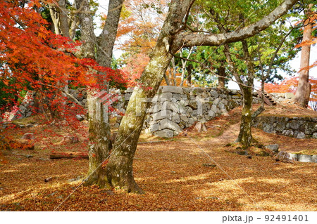高取城跡の秋／紅葉（奈良県高市郡高取町） 92491401