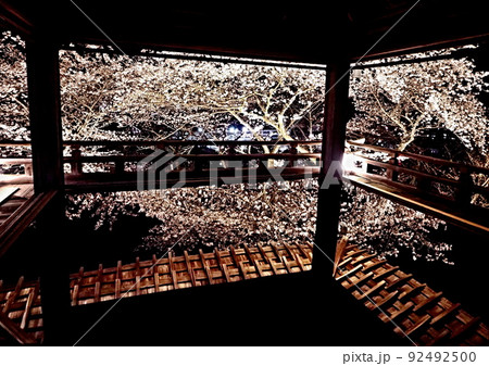 三井寺の夜桜 92492500