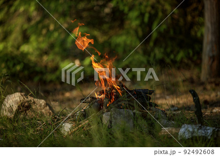 Close up of burning timber bonfire in summer forest..The concept of adventure, travel, tourism, camping, survival and evacuation. 92492608