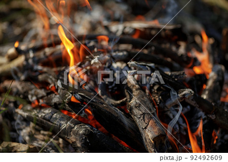 Close up of burning timber bonfire in summer forest..The concept of adventure, travel, tourism, camping, survival and evacuation. 92492609