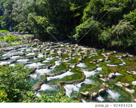 初夏の須雲川 初夏の須雲川 92493328