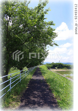 初夏の自転車道 ... 島根県 安来市：晴れ（イラスト風） 92493412