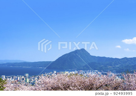 高崎山と桜 別府市街地一望の写真素材 [92493995] - PIXTA