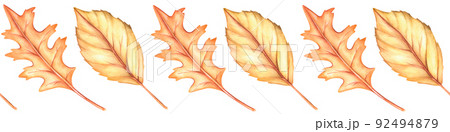 Autumn leaf seamless border. Watercolor vintage illustration. Isolated on a white background. Autumn leaf seamless border. Watercolor vintage illustration. Isolated on a white background. 92494879