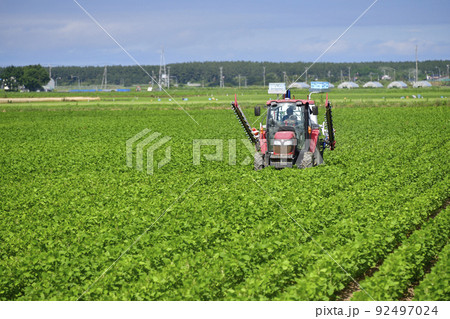夏の北海道江差町で大豆畑の防除作業の風景を撮影 92497024