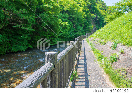四万川　四万川ダム下　日向見公園付近の風景　新緑の季節　　 92500199