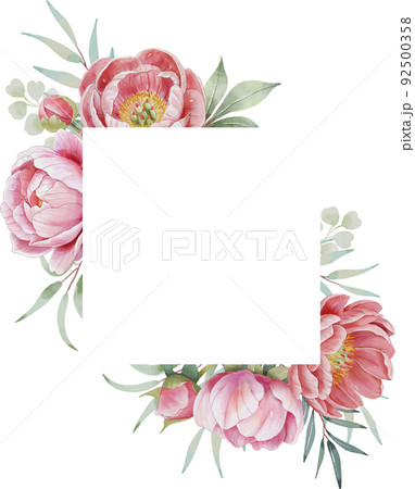 牡丹 水彩画 イラスト 92500358
