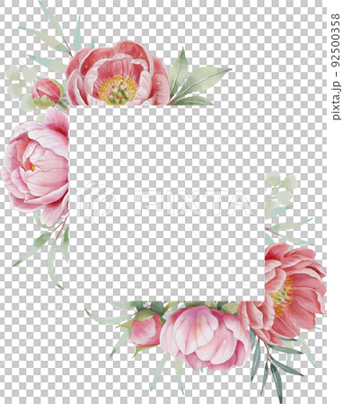 牡丹 水彩画 イラスト 92500358