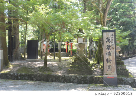 萬葉植物園 92500618