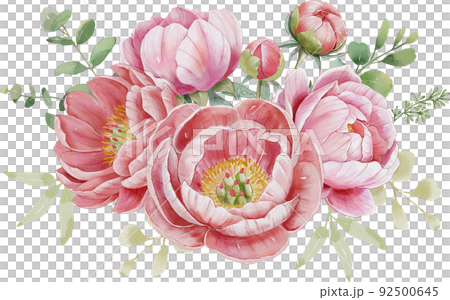 水彩牡丹花插畫 92500645