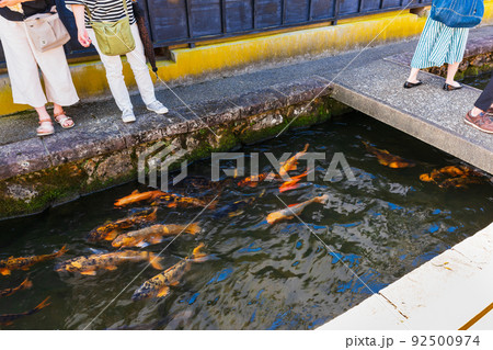 飛騨古川　鯉が泳ぐ瀬戸川 92500974