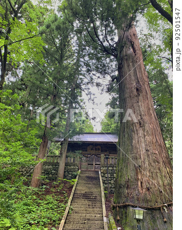 霜降宮細野諏訪神社（しもふりのみやほそのすわじんじゃ）長野県白馬村 92501547