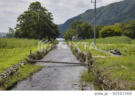 木崎湖畔に流れ込む小川　長野県大町市 92501569